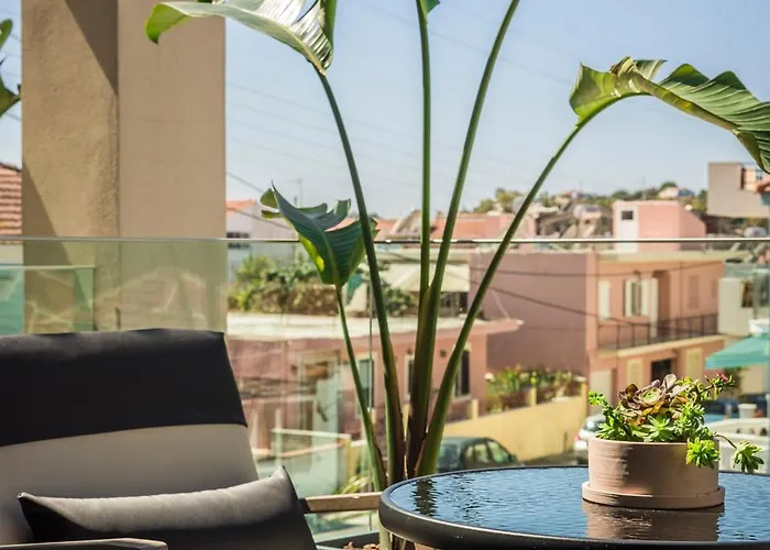 Aparktion The Grand Maistro