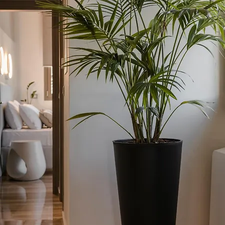 Appartement Aparktion The Grand Maistro Lixouri